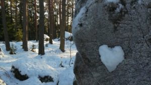 Luminen metsä. Etualalla kivi, johon on lumesta muodostunut sydän.